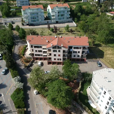 Tony * Ičići